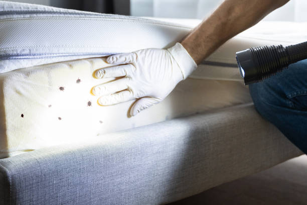 Best Pest Prevention Services  in Navarre, OH